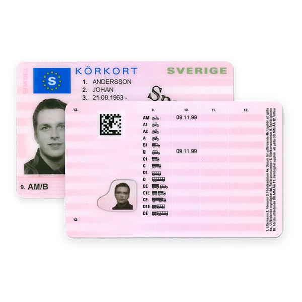 Swedish Driver’s License